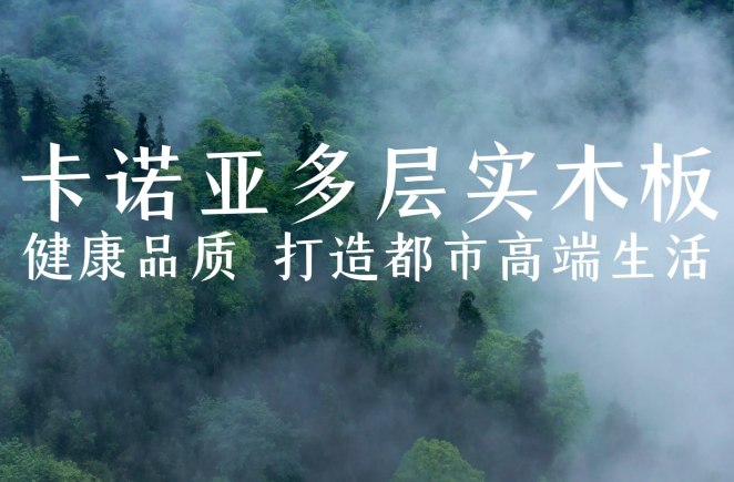 麻豆网址在线观看多層實木板，環保品質再升級
